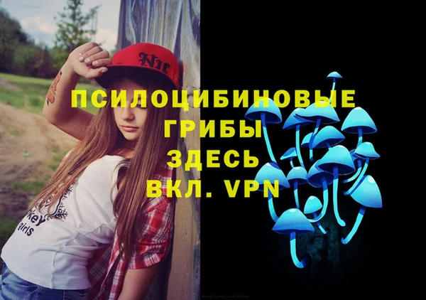 метадон Богородицк